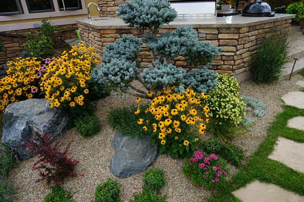 WHAT SENSES DO PLANTS HAVE visual data 4