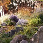 Landscape Pricing Guide Boulder, CO