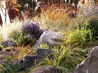 Landscape Pricing Guide Boulder, CO