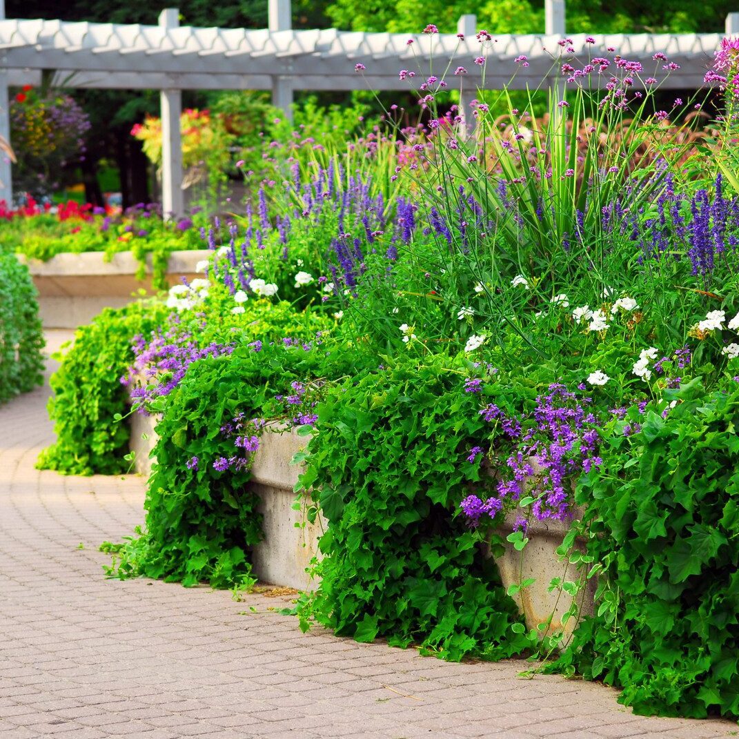 Boulder, CO Commercial Landscaping