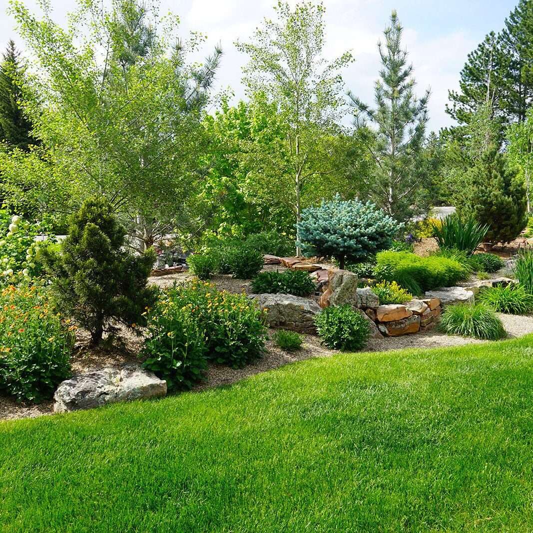 Boulder, CO Landscape Maintenance