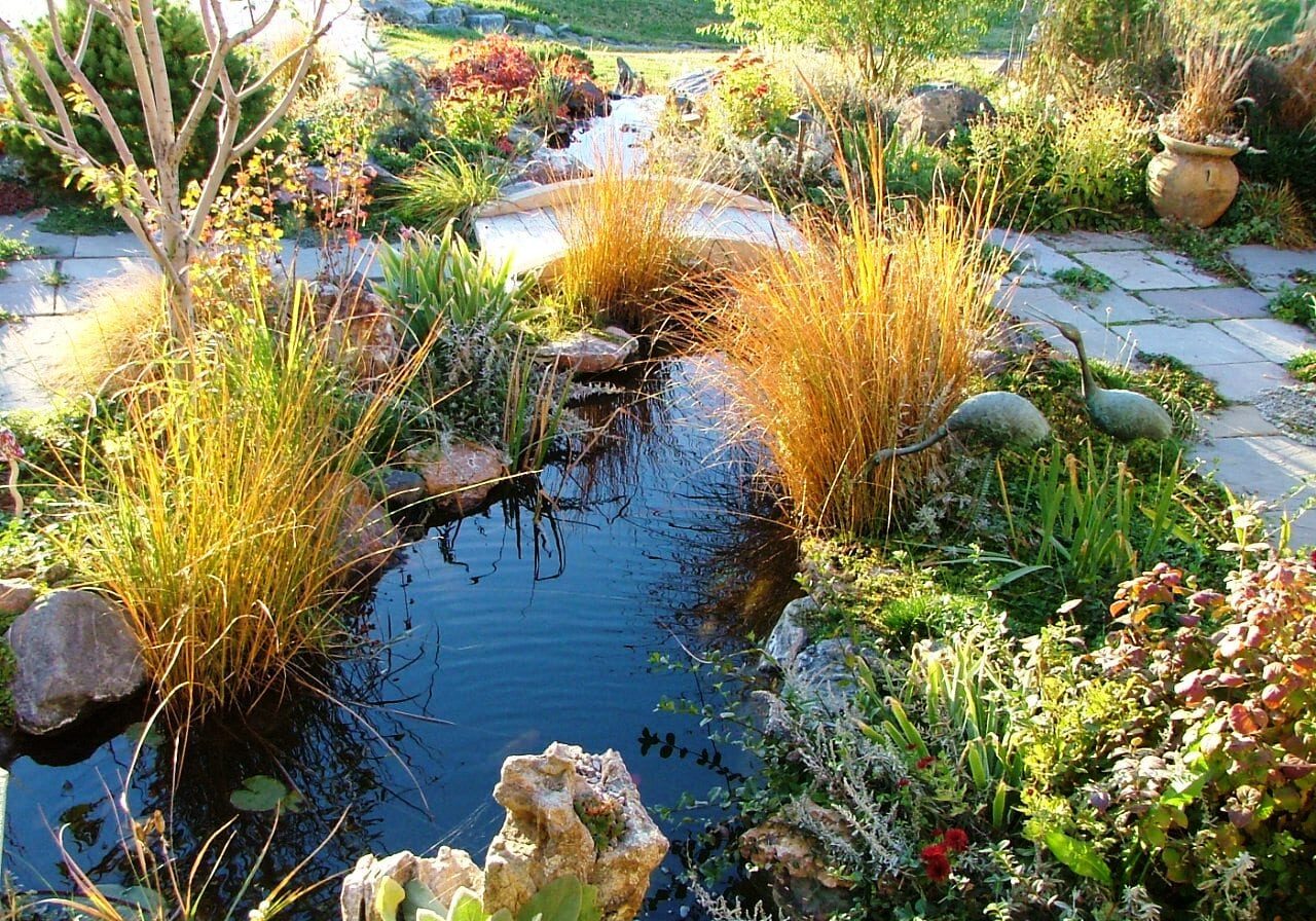 Plant Health Care in Boulder, CO